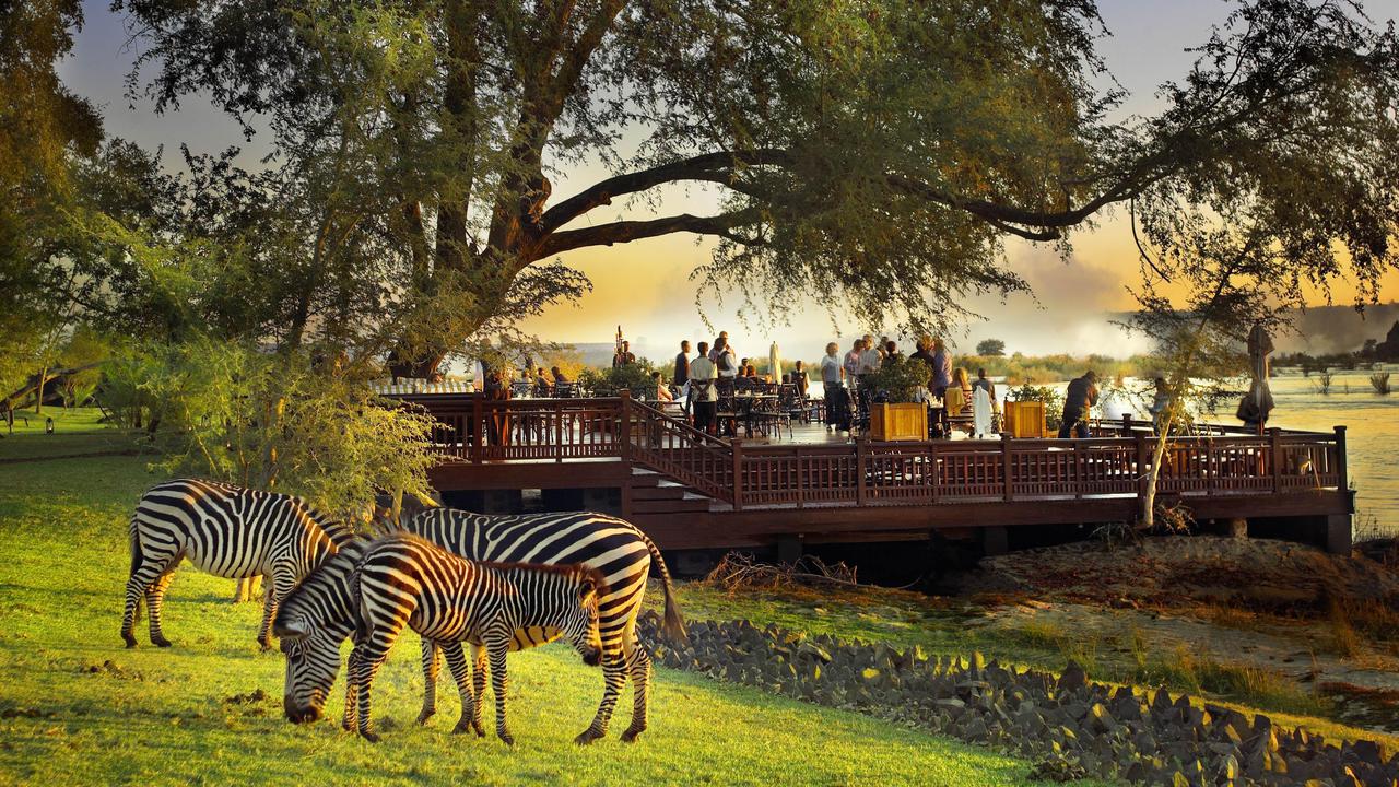Victoria Falls: Where to Stay in Livingstone, Zebras grazing nearby