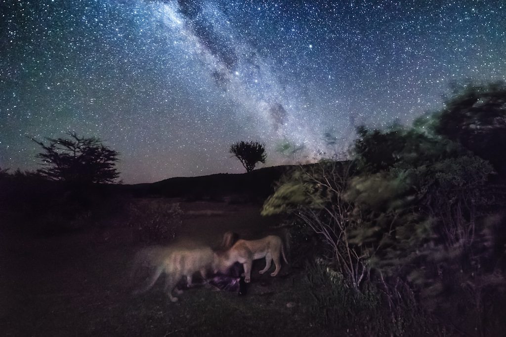 Father’s Day in the Bush – 5 Reasons to Travel to Africa With Dad, Night Sky
