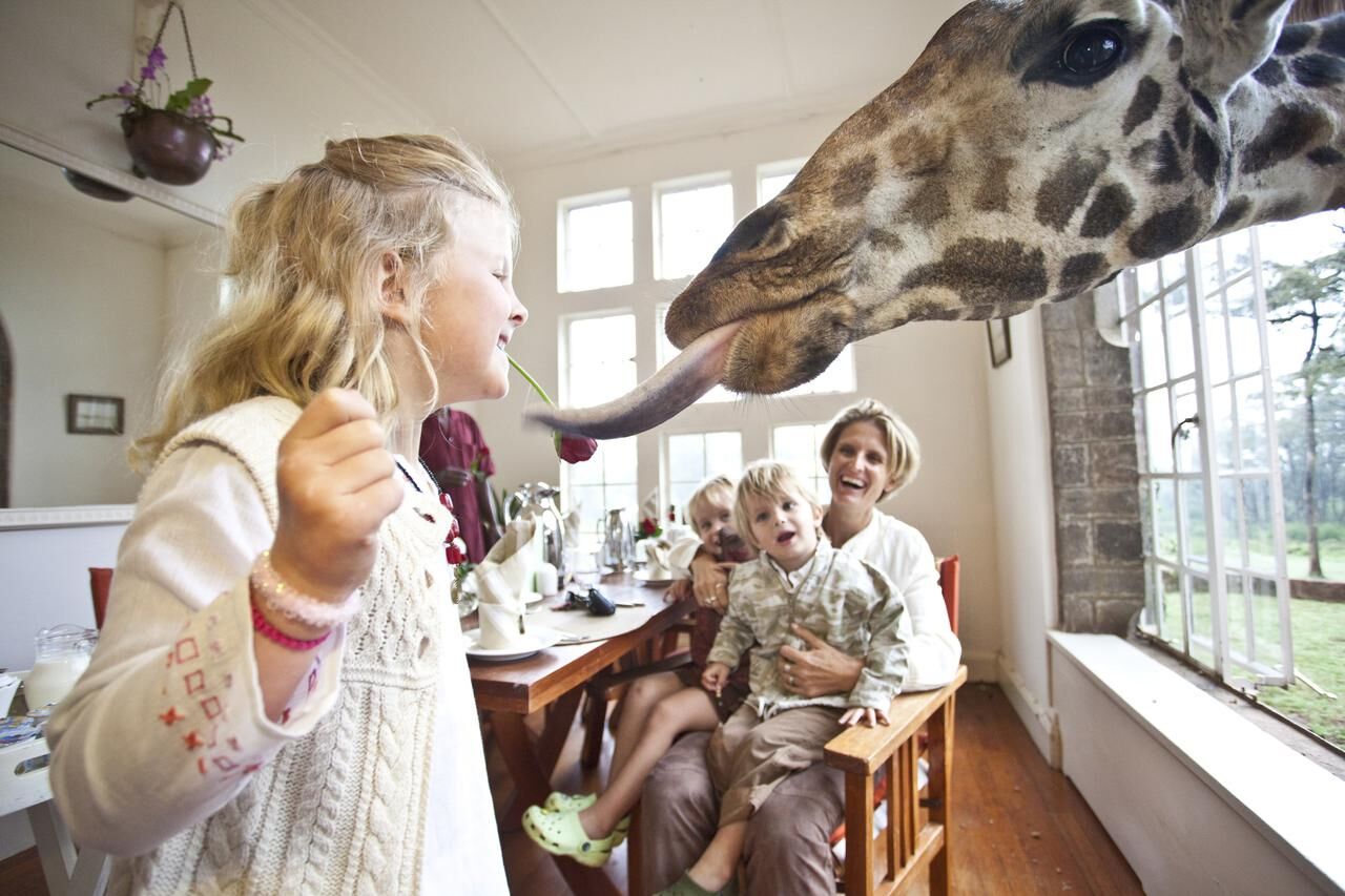 The Case for Taking Your Kids on Safari, Manor House, Kenya, Giraffe in the Window