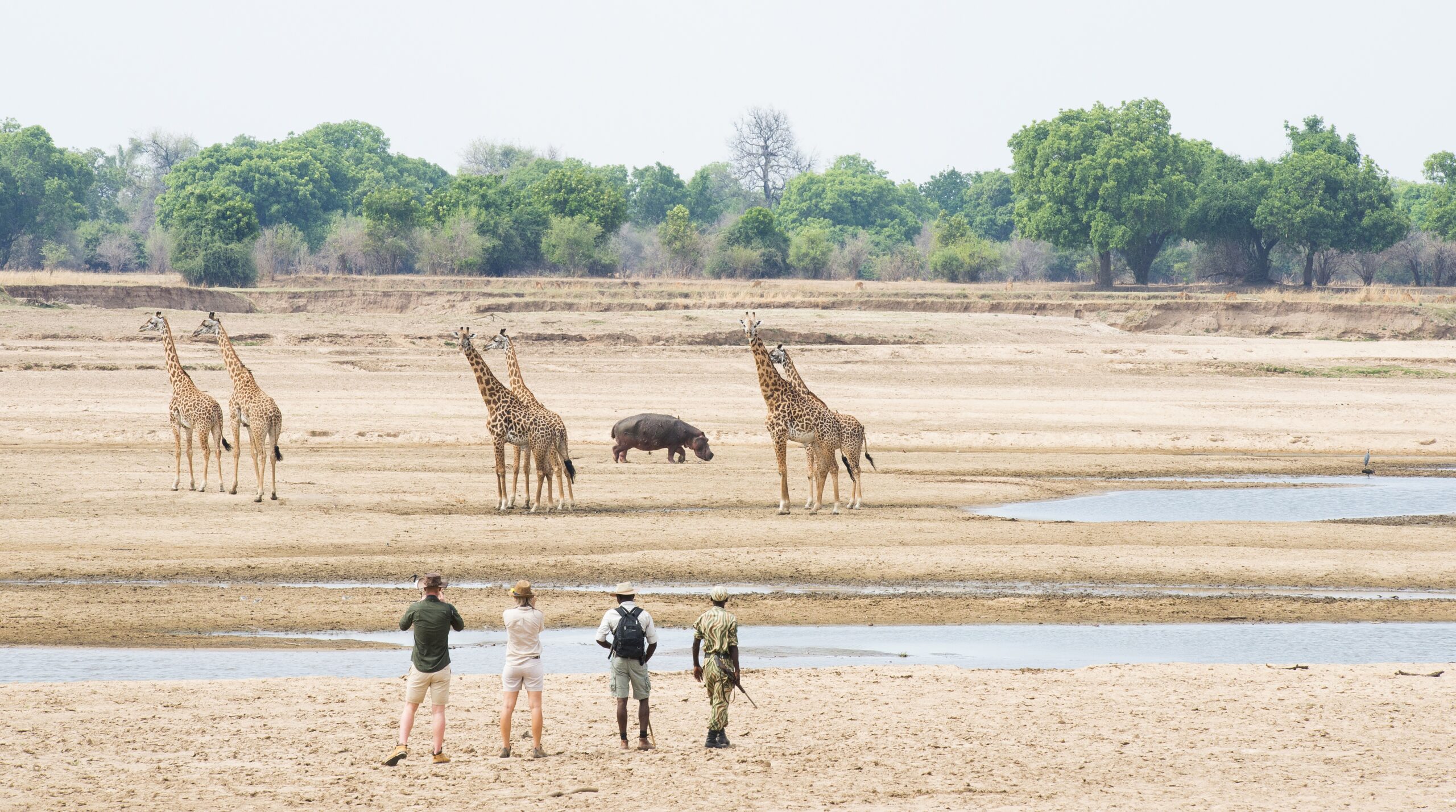5 Safari Activities Your Teens Will Love, Safari Walks