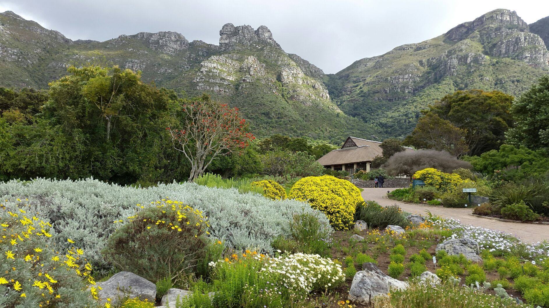Where to Go & What to Do in Cape Town, Kirstenbosch Botanical Gardens