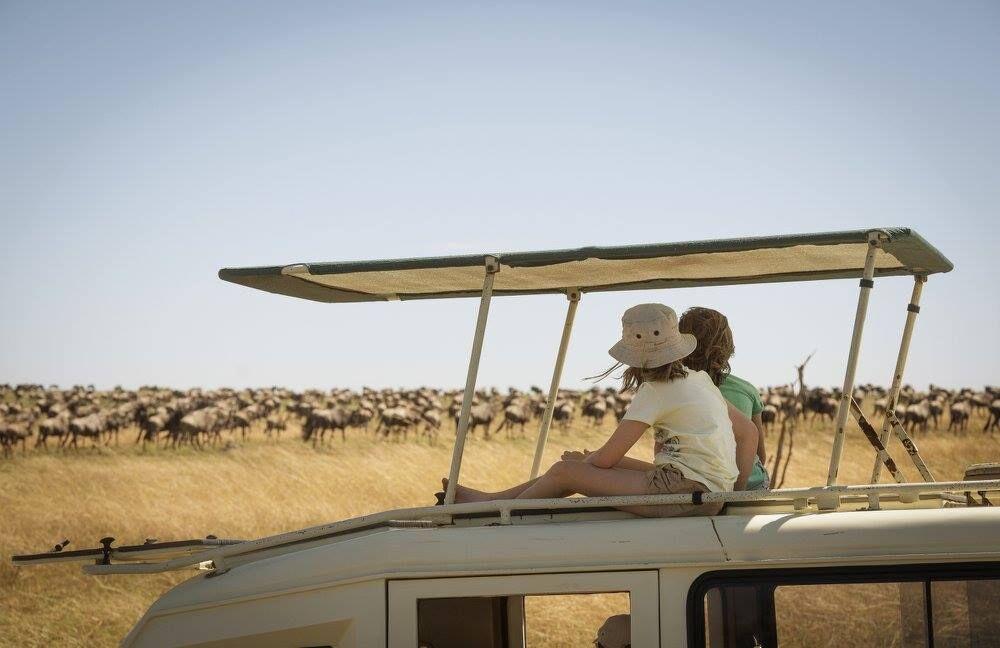 When is the best time to travel?, Game Viewing